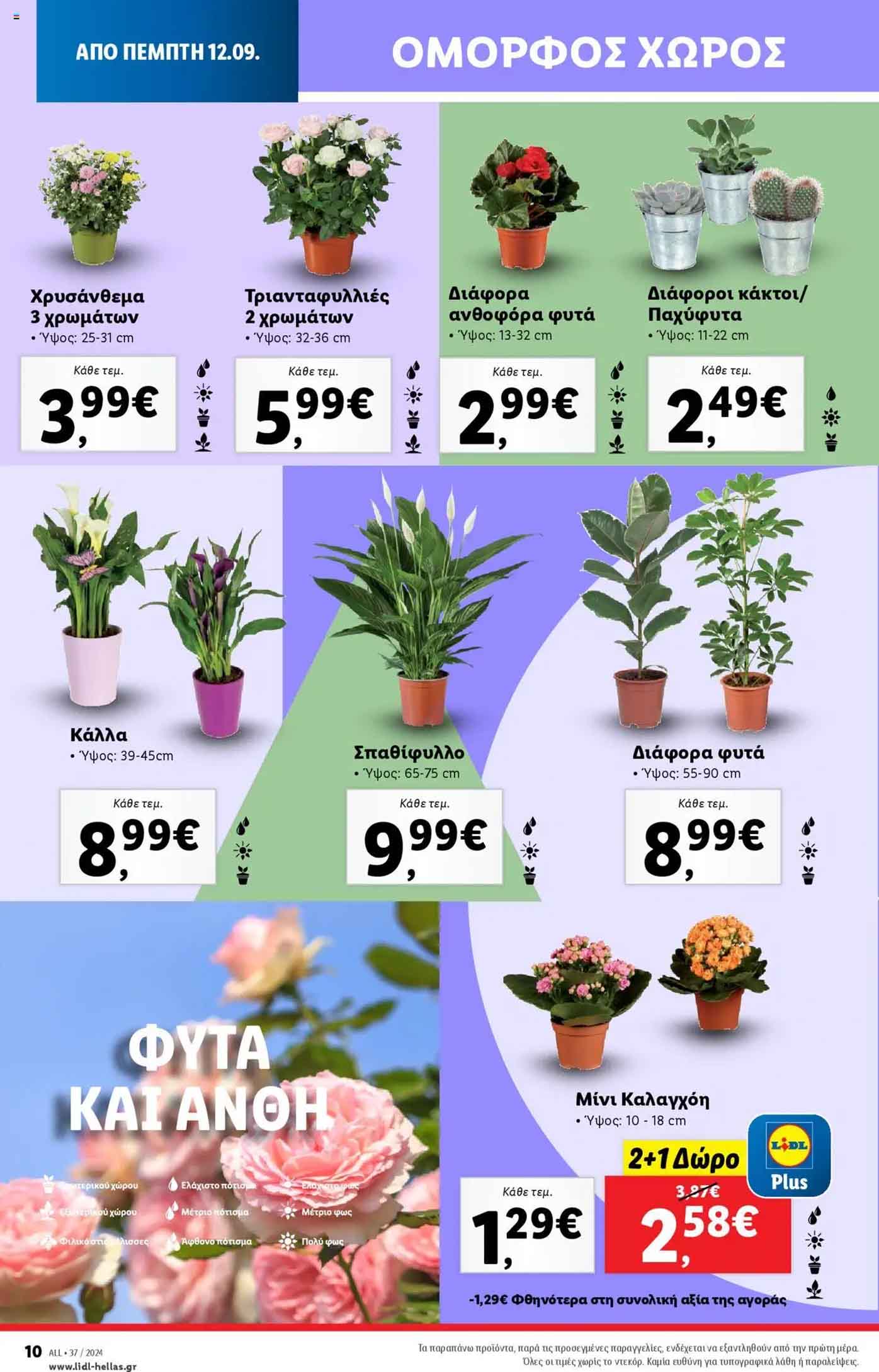 Lidl-fylladio-eos-18-Septembrioy-2024-Prosfores-Lintl-Trexoyses-Ebdomadas-(40)