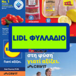 λιντλ-φυλλαδιο-lidl-προσφορεσ-επομενησ-εβδομαδασ-brochure-cover