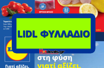 λιντλ-φυλλαδιο-lidl-προσφορεσ-επομενησ-εβδομαδασ-brochure-cover